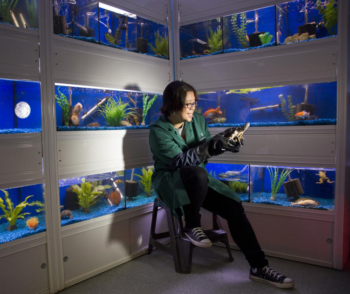 Aquarium College Student