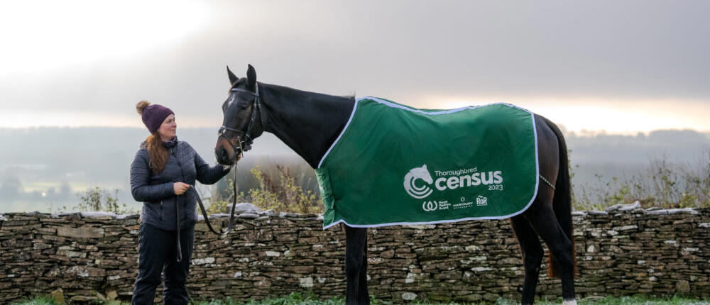 Thoroughbred Census Rug On Horse