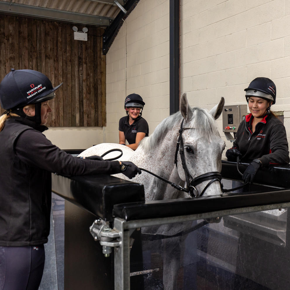 Aqua-Equine-Treadmill