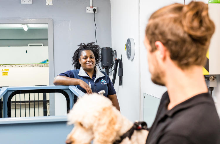 Physiotherapy Consultation With Dog And Owner