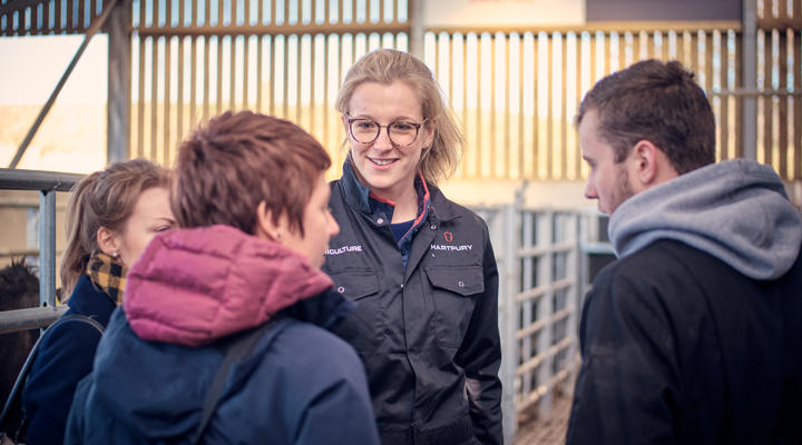 Apprenticeships Employer