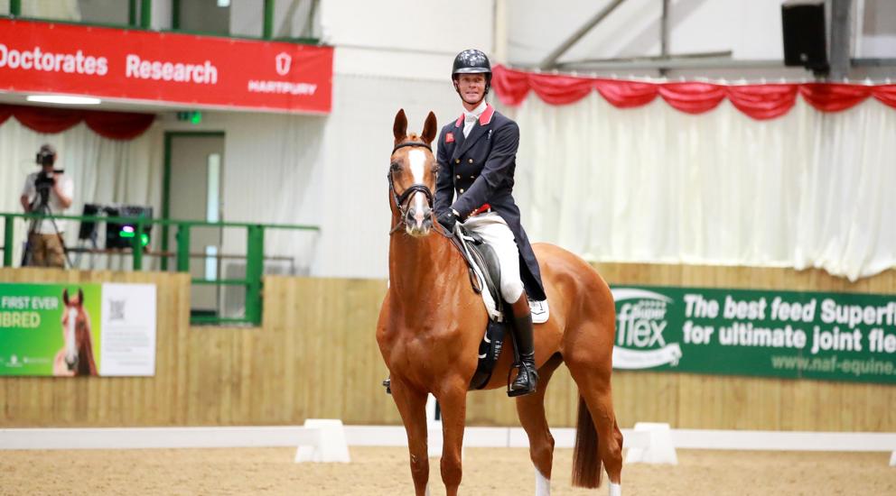 William Fox Pit Duke Legacy 3 6Th