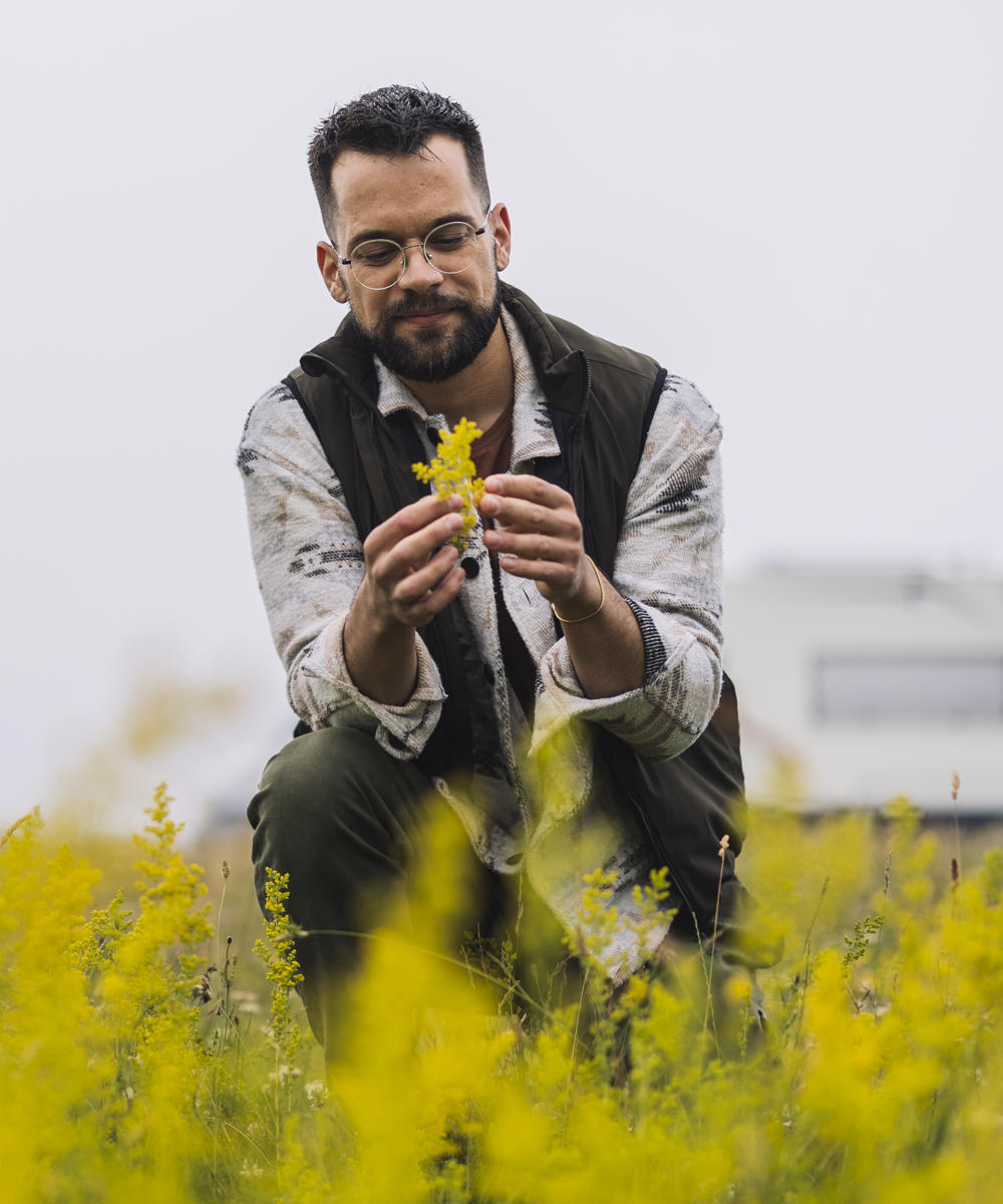 Man Examining Wildflowers In A Meadow 2024 09 17 16 54 14 Utc