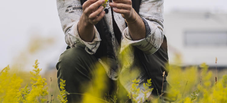 Man Examining Wildflowers In A Meadow 2024 09 17 16 54 14 Utc