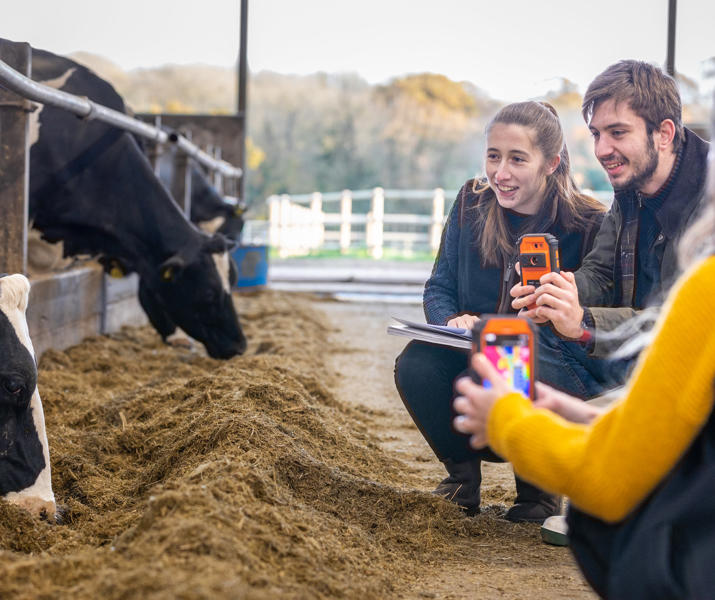 Group Of Students Using Thermal Cameras In Cow Shed