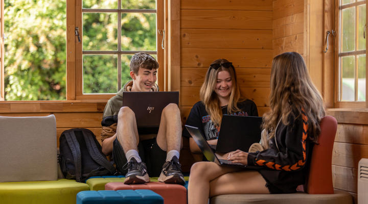 Animal Students In Log Cabin