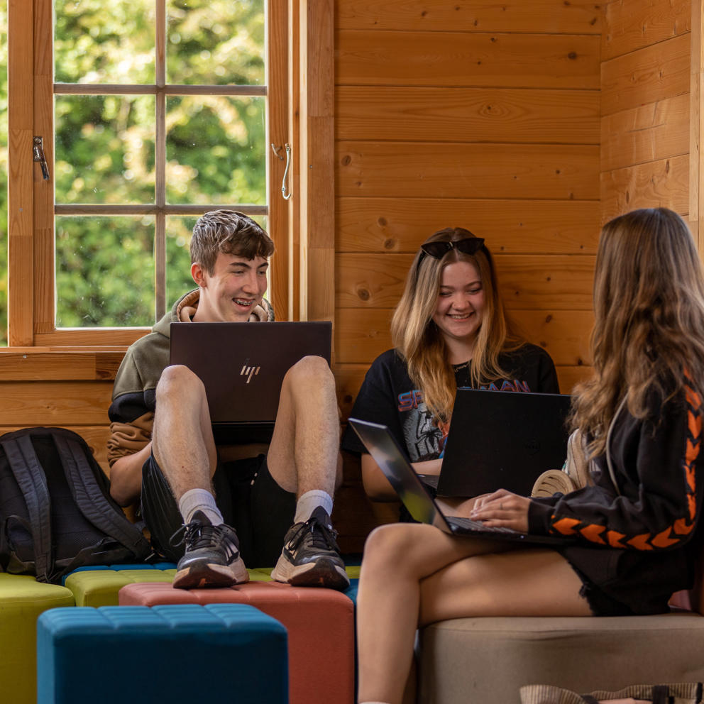 Animal Students In Log Cabin