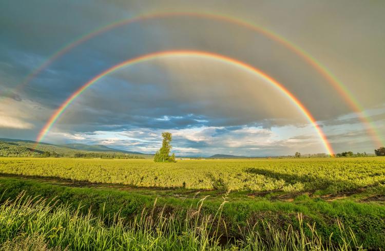 Rainbow In Sky