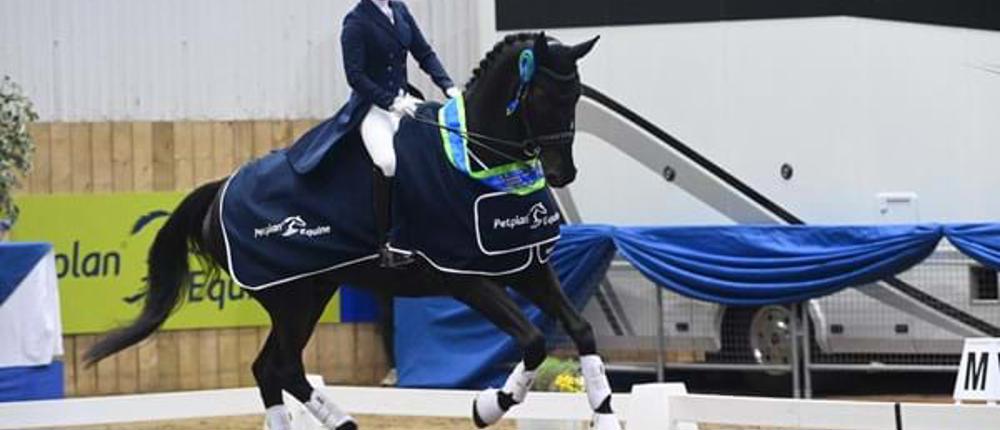 Indoor-International-Dressage