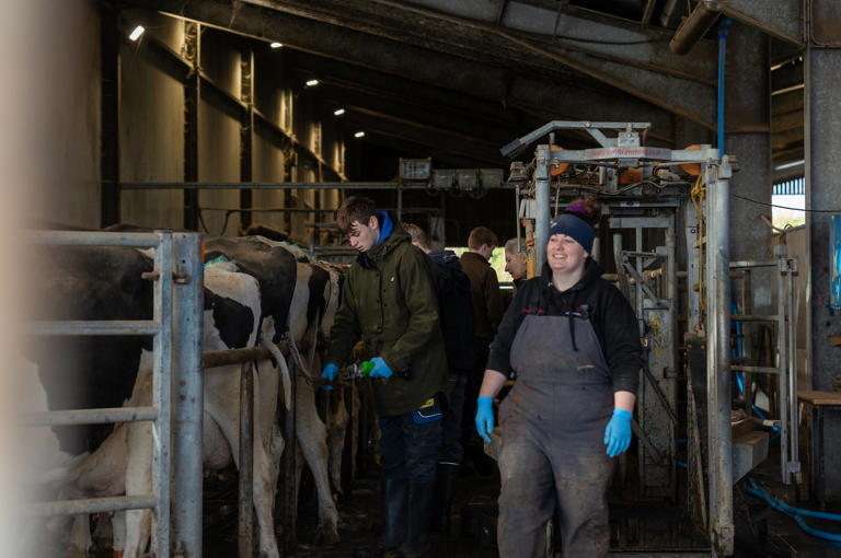 Meg Lawrence - Livestock Manager