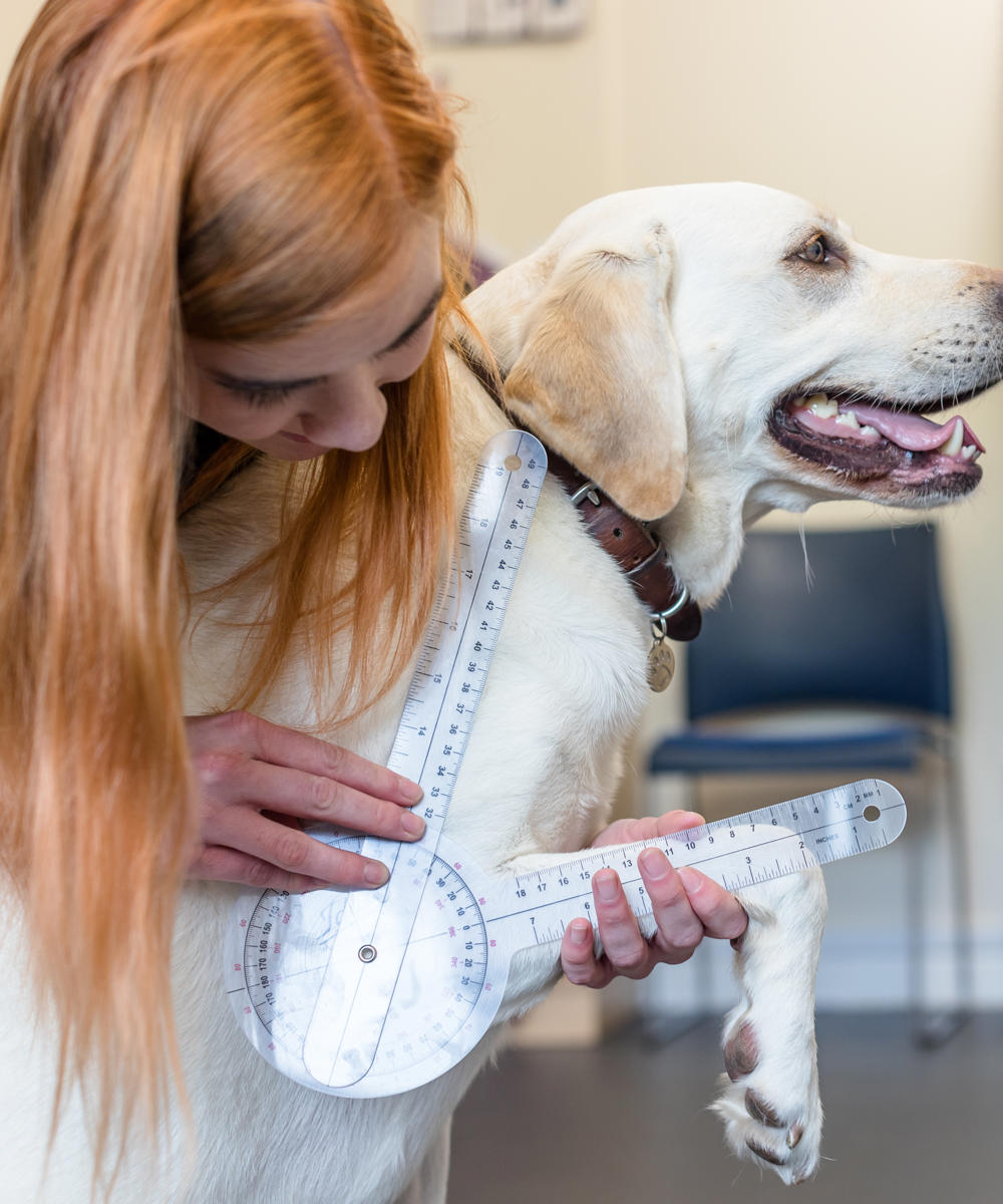 51187934005 14B7ee34b9 O