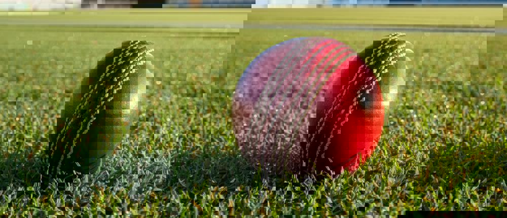 Cricket Ball On The Grass