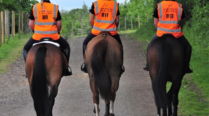 Three Horses Riding