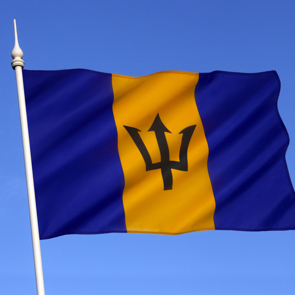 Flag Of Barbados 2026 01 09 06 52 39 Utc