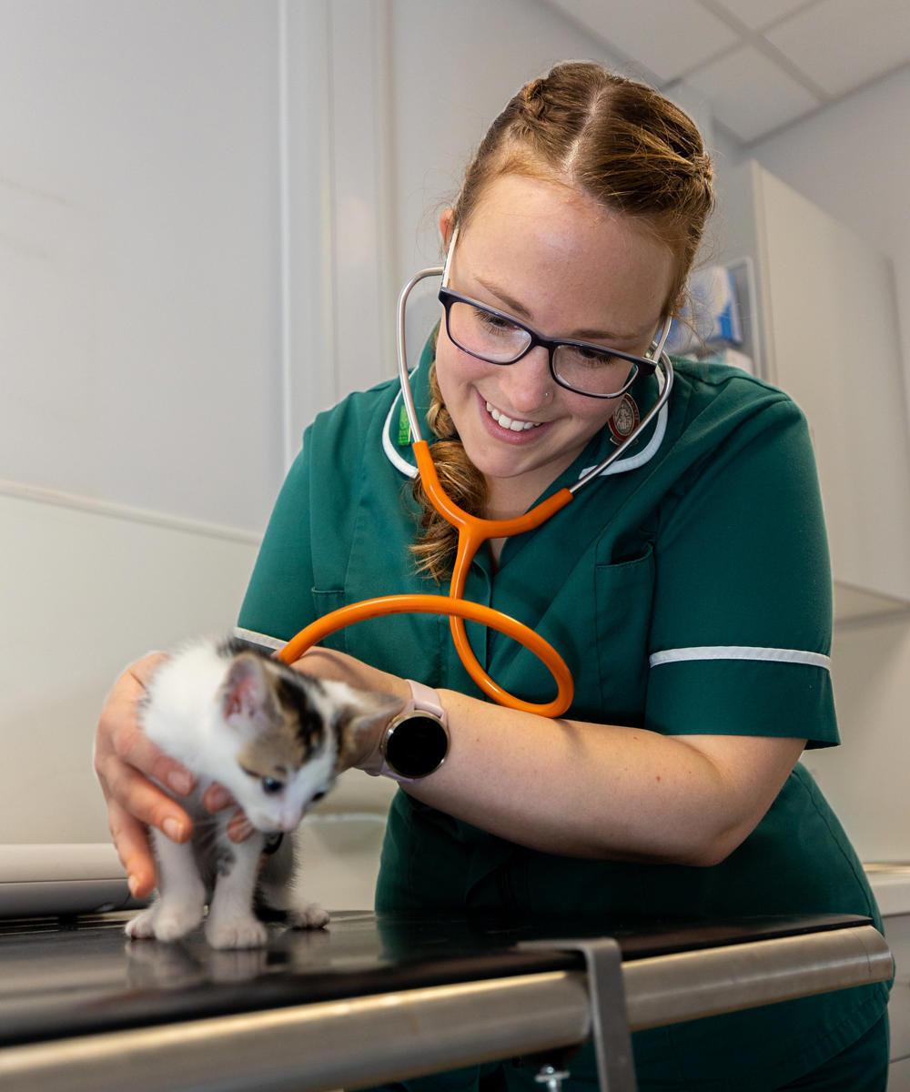 52520555461 Db2d7d2e87 K (3)