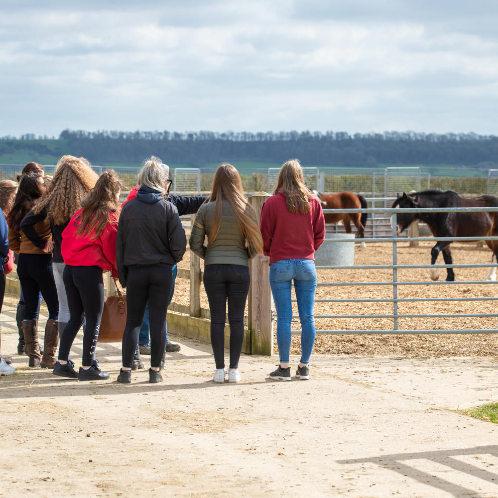 College Equine Outing