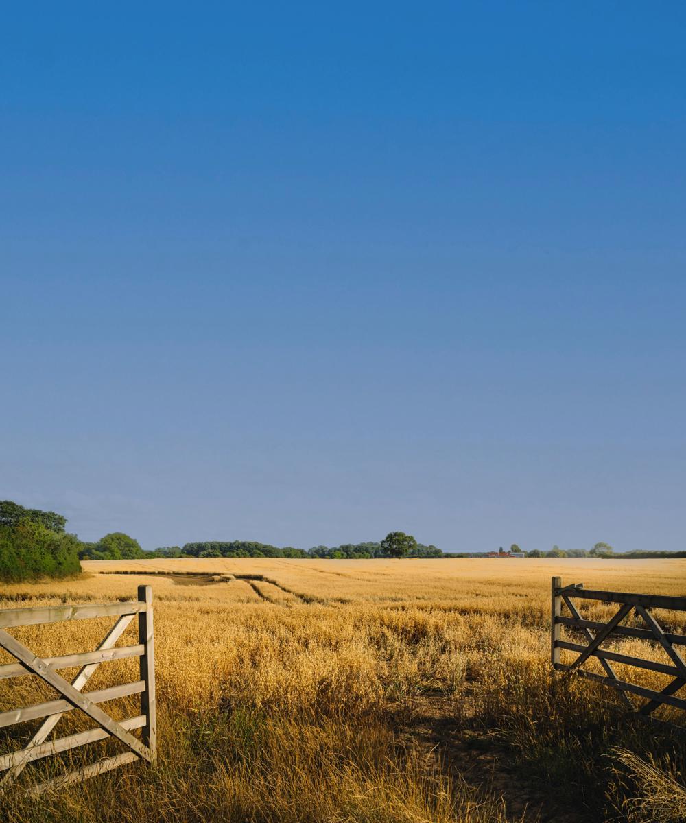 Resized Gateway Image