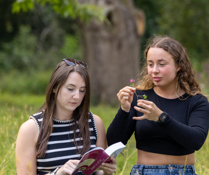 54608386889 D6cc9e2ef5 O