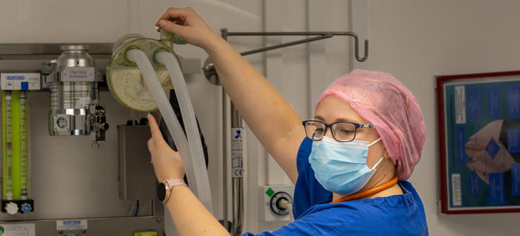 Hannah Smith Working In Veterinary Surgery Anesthetic