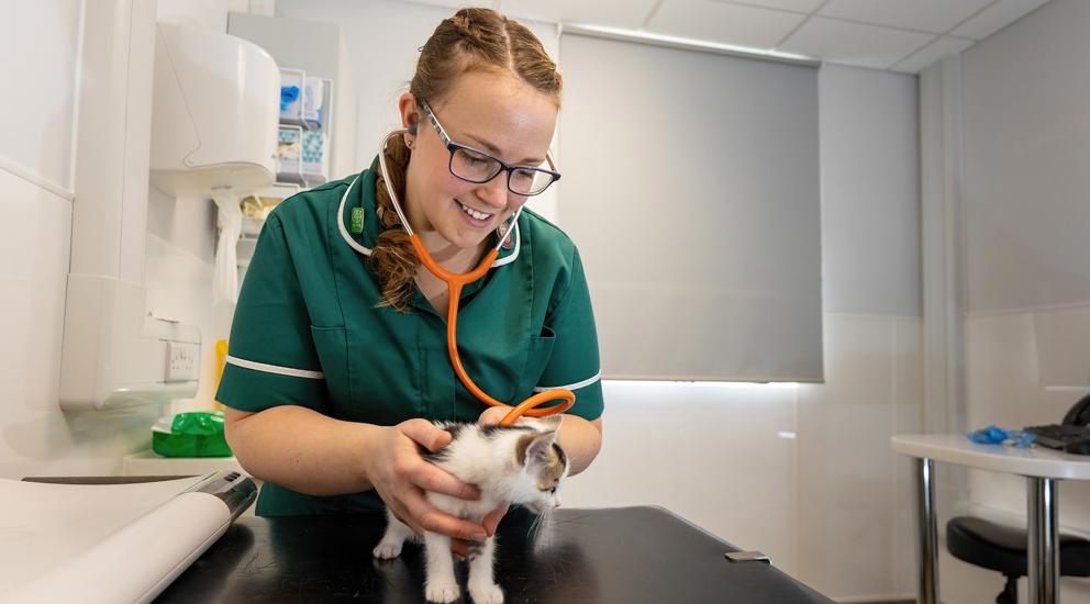 Bsc Hons Veterinary Nursing