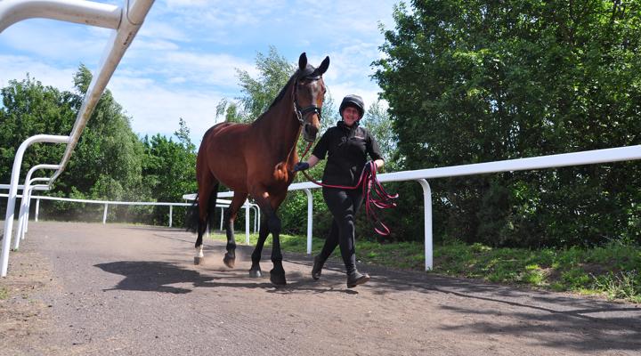 Student Leading Horse In Arena