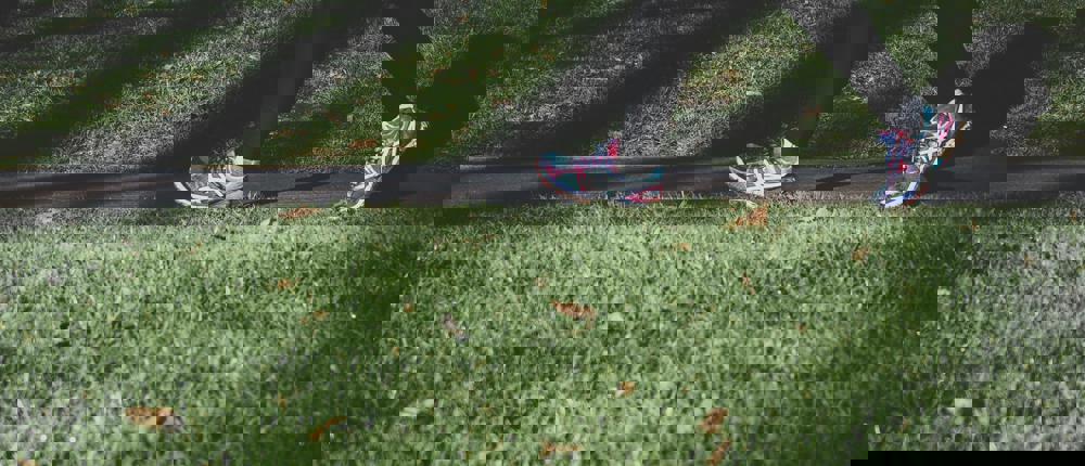 Persons Legs Wearing Trainers In Park