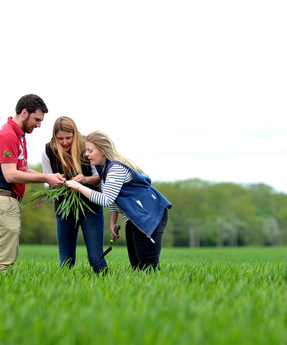 Bsc Hons Agriculture With Crop Science