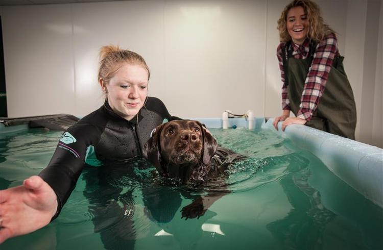 Hydrotherapy