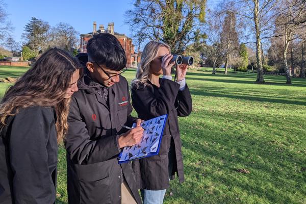 Big Garden Bird Watch (6)