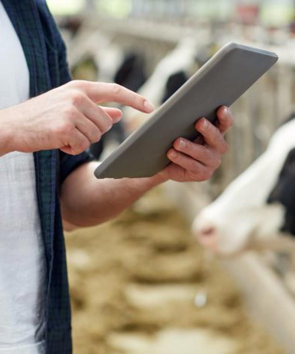 Shutterstock 558271576