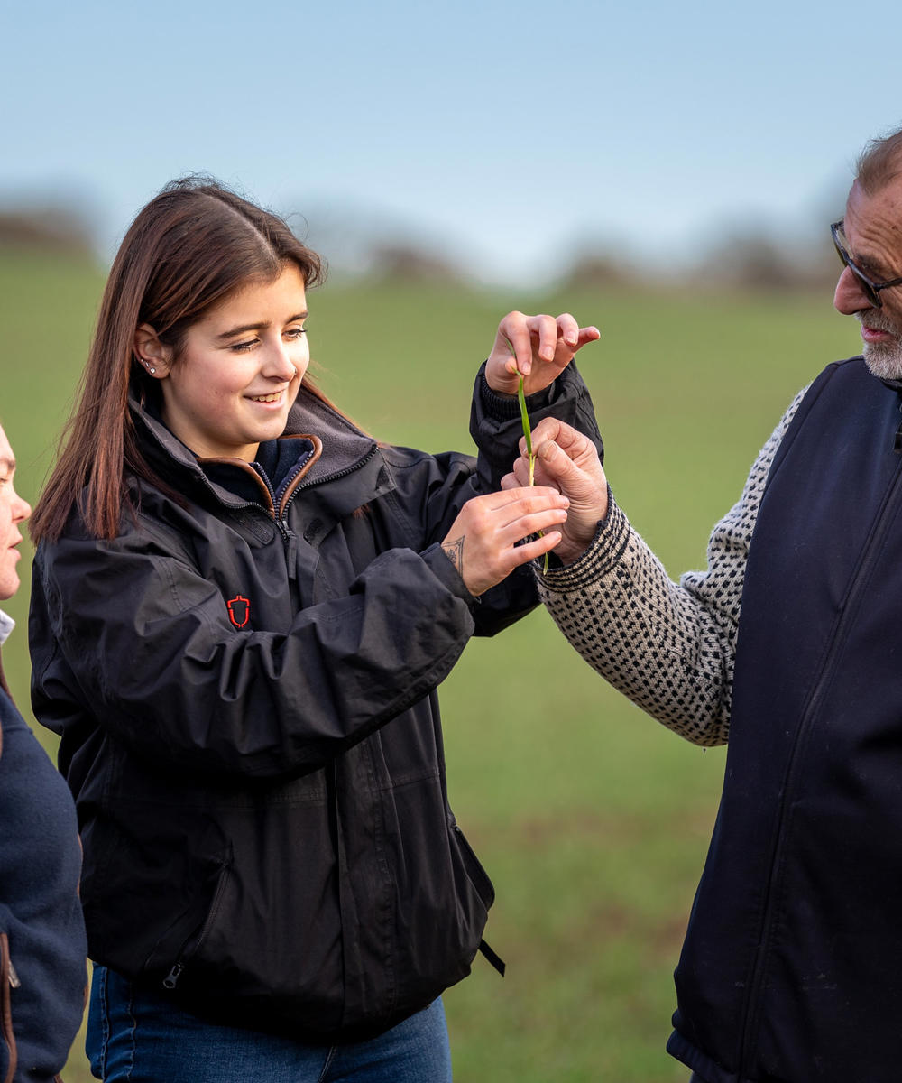 Two Female Students And Lecturer Checking Crop Health
