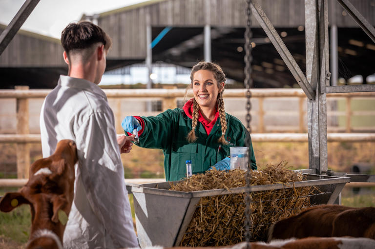 Animal Agriculture Postgraduate Hartpury