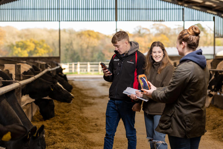 Students Using Thermal Cameras In Cow Shed