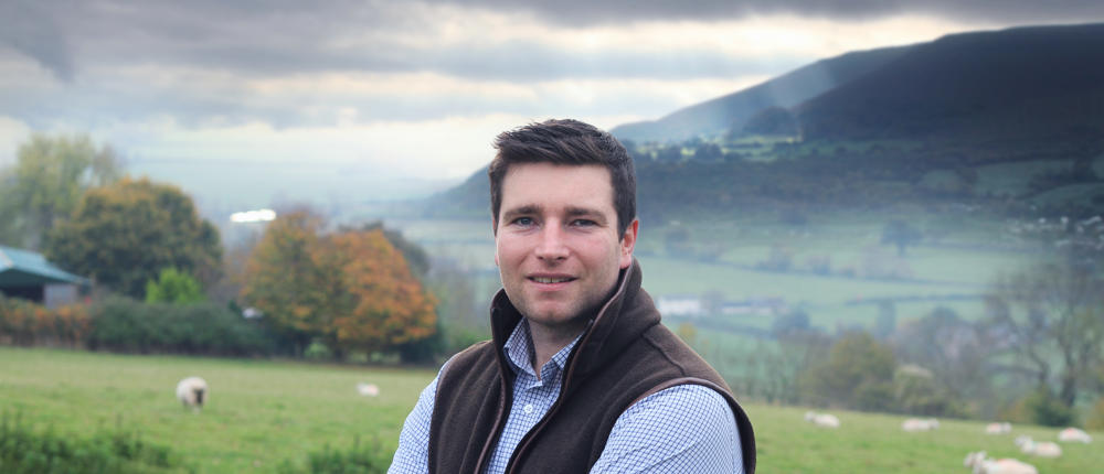 Ed Sugar Loaf Lamb (1)