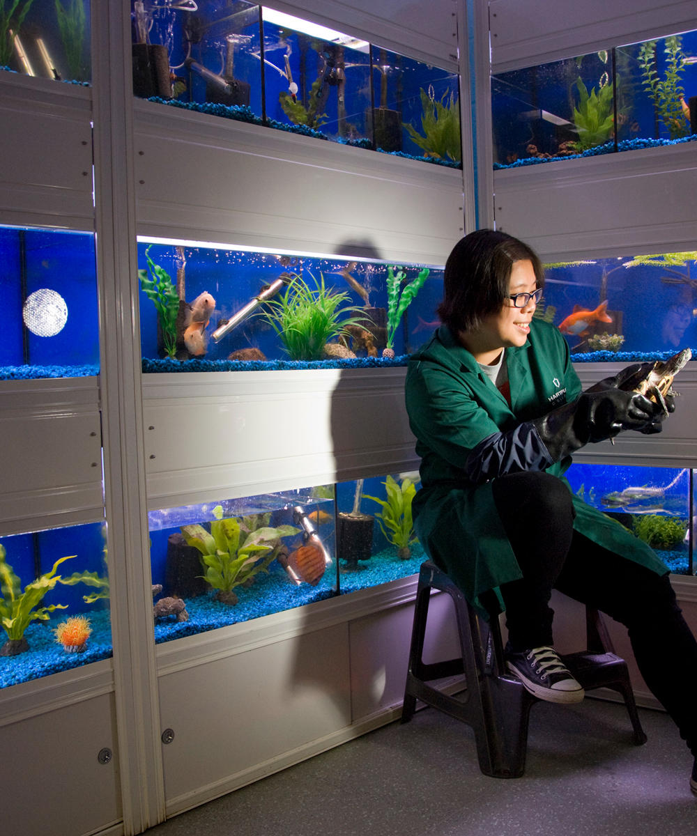 Level 3 Diploma Animal Management