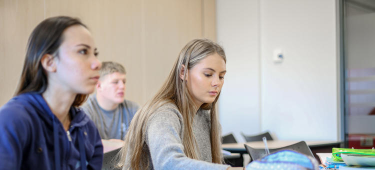 Hartpury College A Level English Language