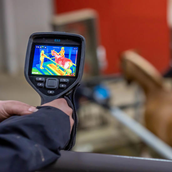 51360854166 37596626A4 K (1)