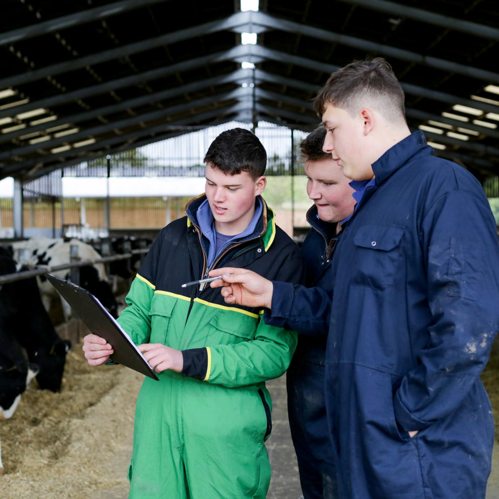 Image of three Hartpury students in the cow shed with a clipboard