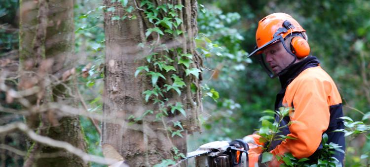 Professional Courses Carousel Image 4