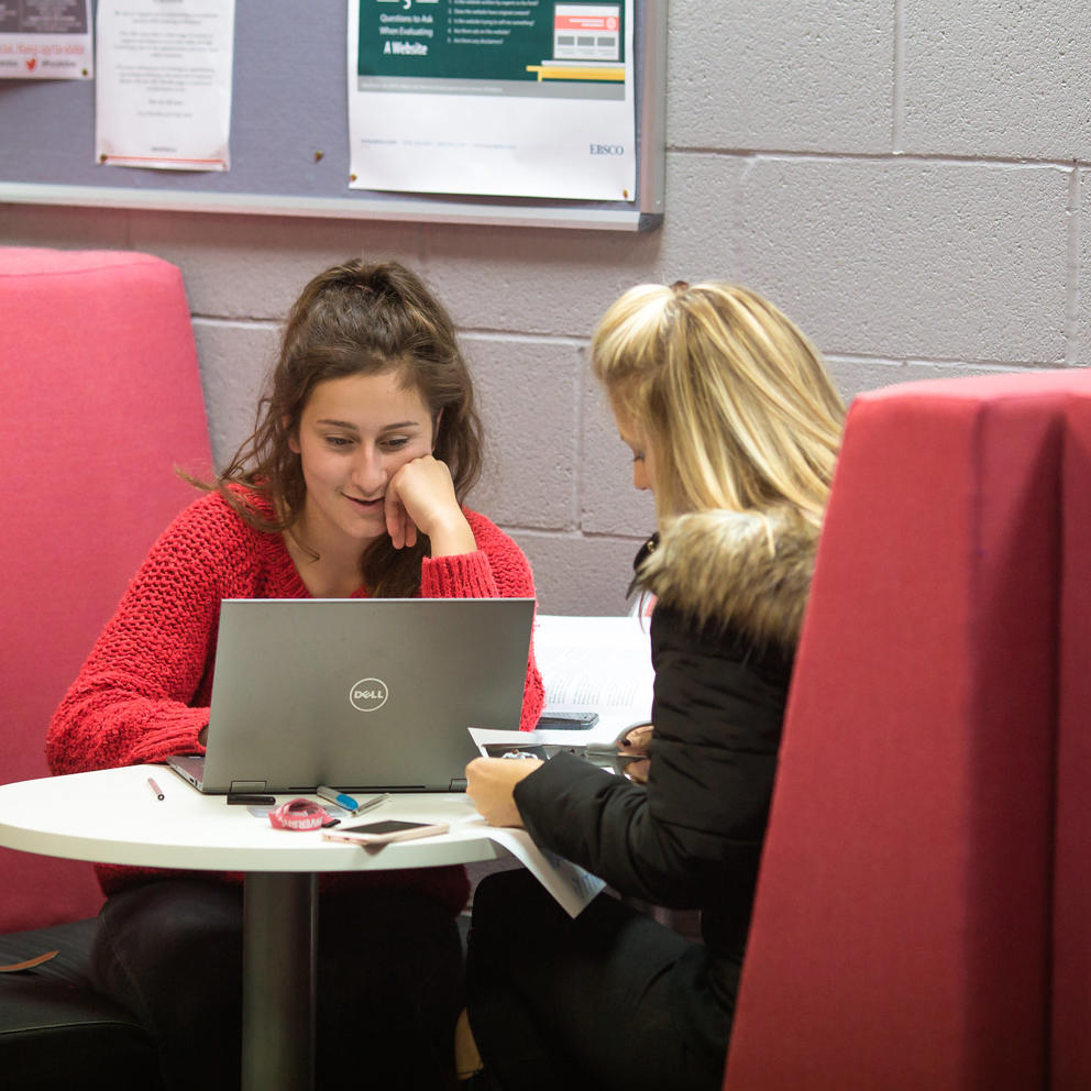 Two females students studying with laptop