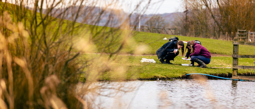 Biodiversity Sampling By Students