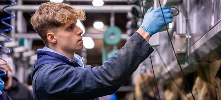 Agriculture-Apprenticeships