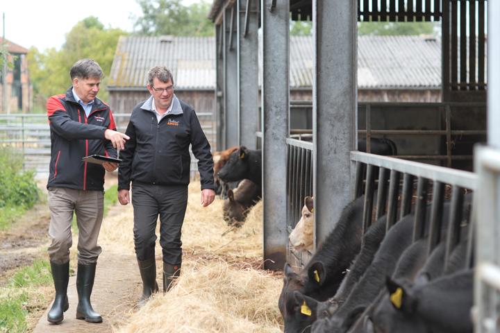 MARK AND PAUL 10 1.4.1