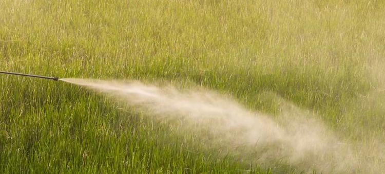 Pesticide Spraying