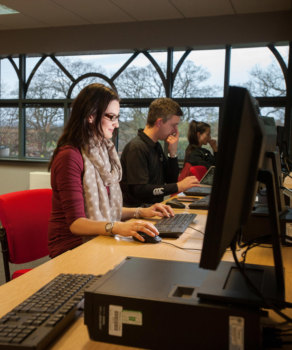 Students Studying At Computers