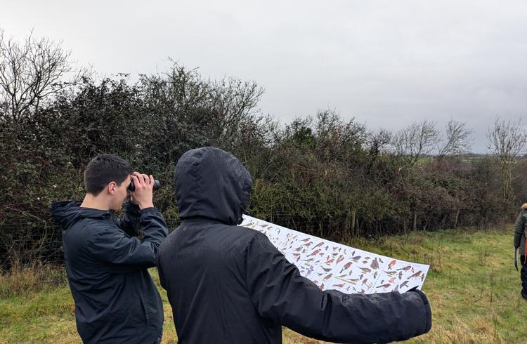 Big Farmland Bird Count
