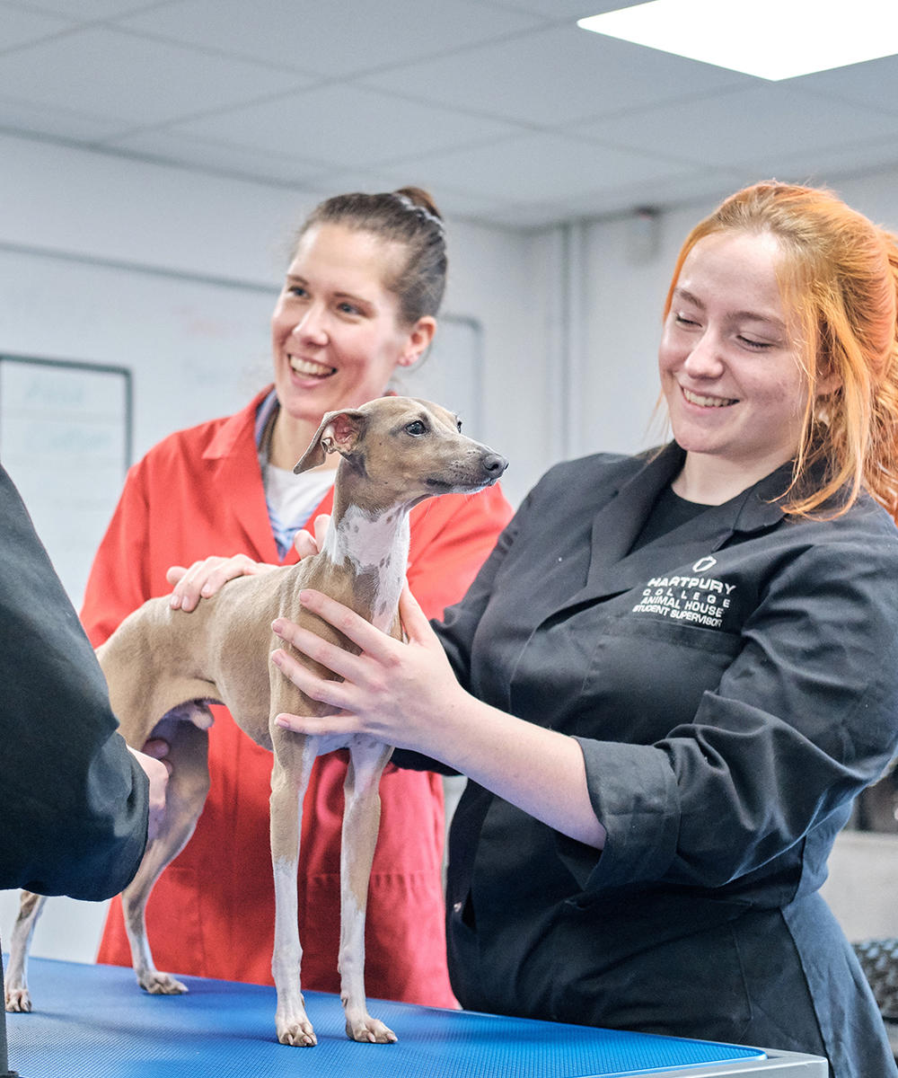 Hartpury College Animal Management Ext Certificate