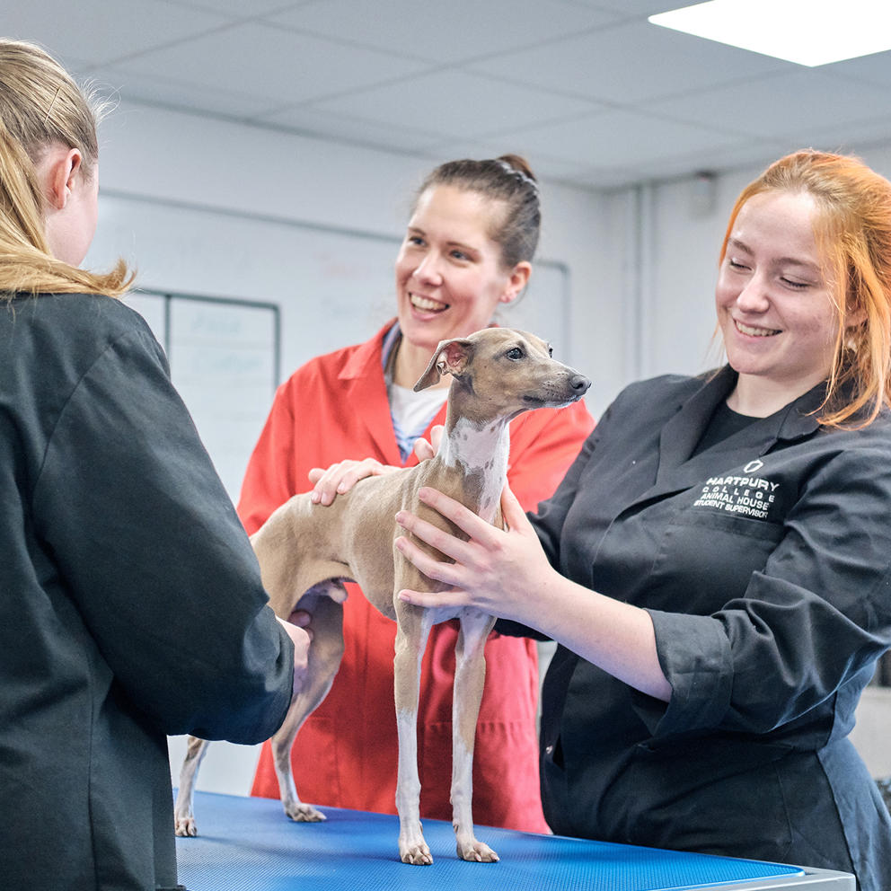 Hartpury College Animal Management Ext Certificate