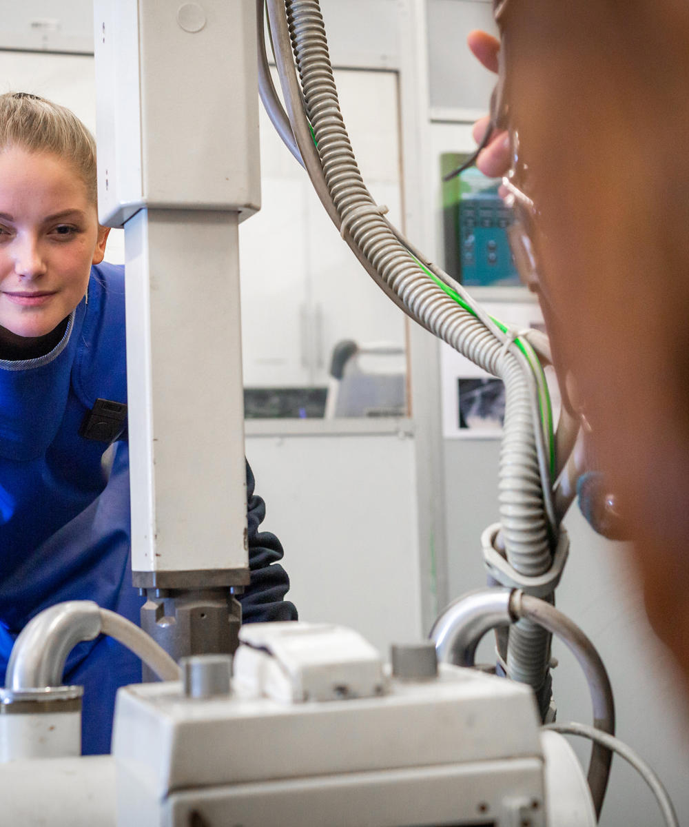 Advanced Equine Veterinary Nursing Diagnostic Imaging And Rehabilitation