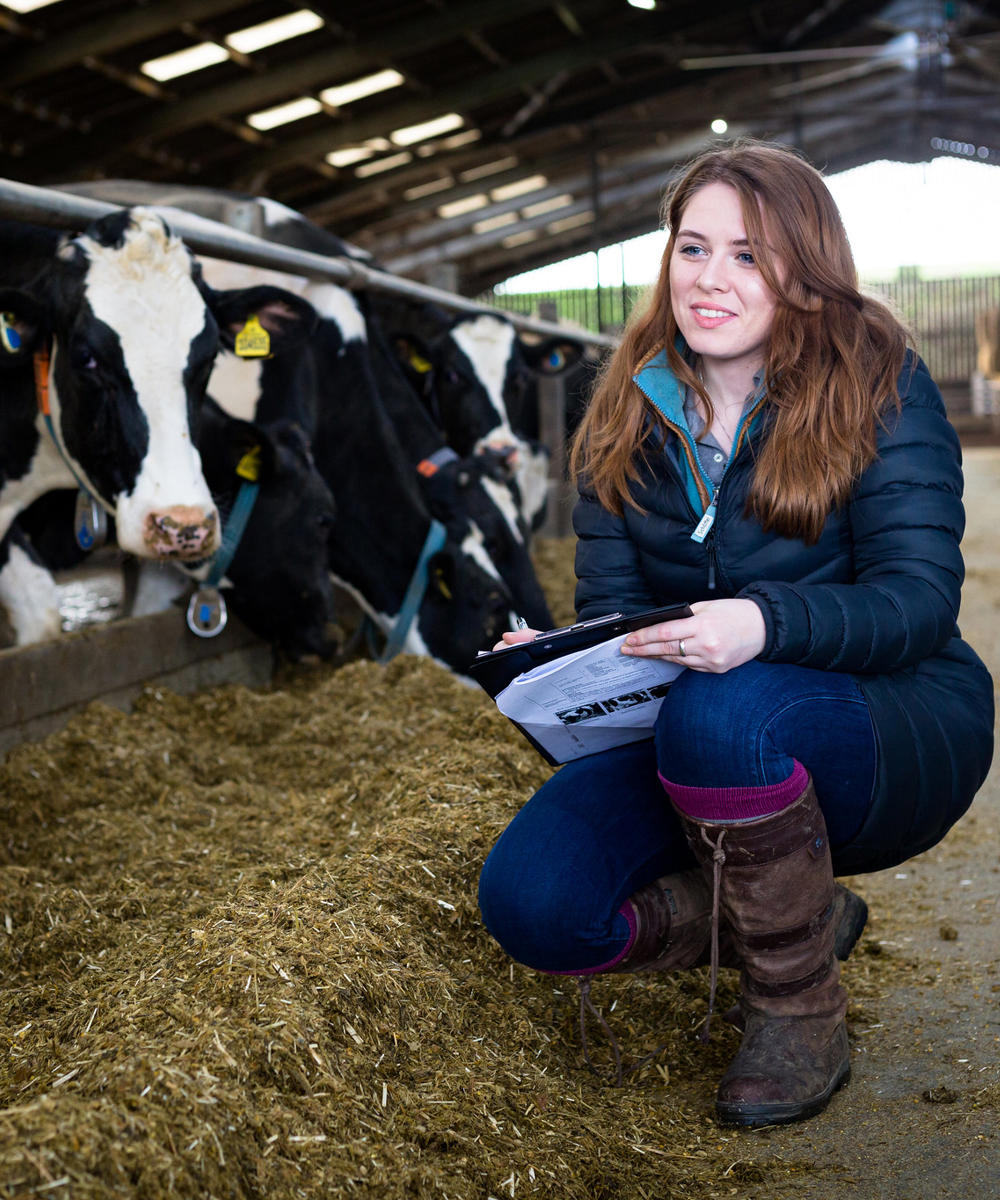 Agriculture Livestock Production Student